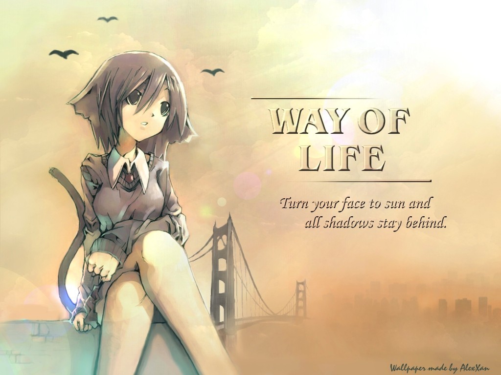 Anime Manga Wallpaper: Dog Days Anime Wallpaper