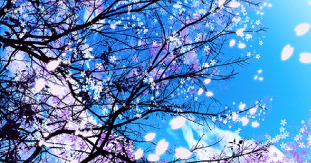 Best Flowers that will make you Happy Best Flowers Decoration