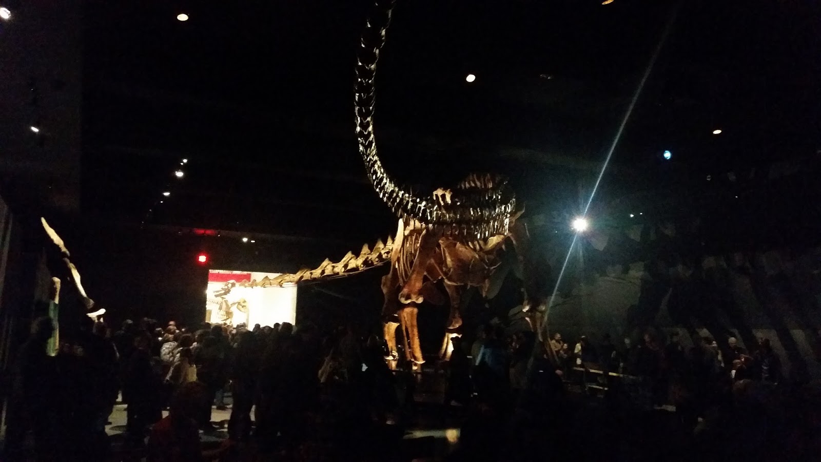 The Meniscus Why Were Prehistoric Animals So Big?