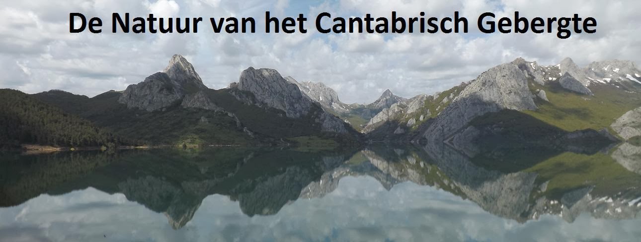 De Natuur van het Cantabrisch Gebergte