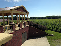 South River Vineyard South River Vineyard, back patio view