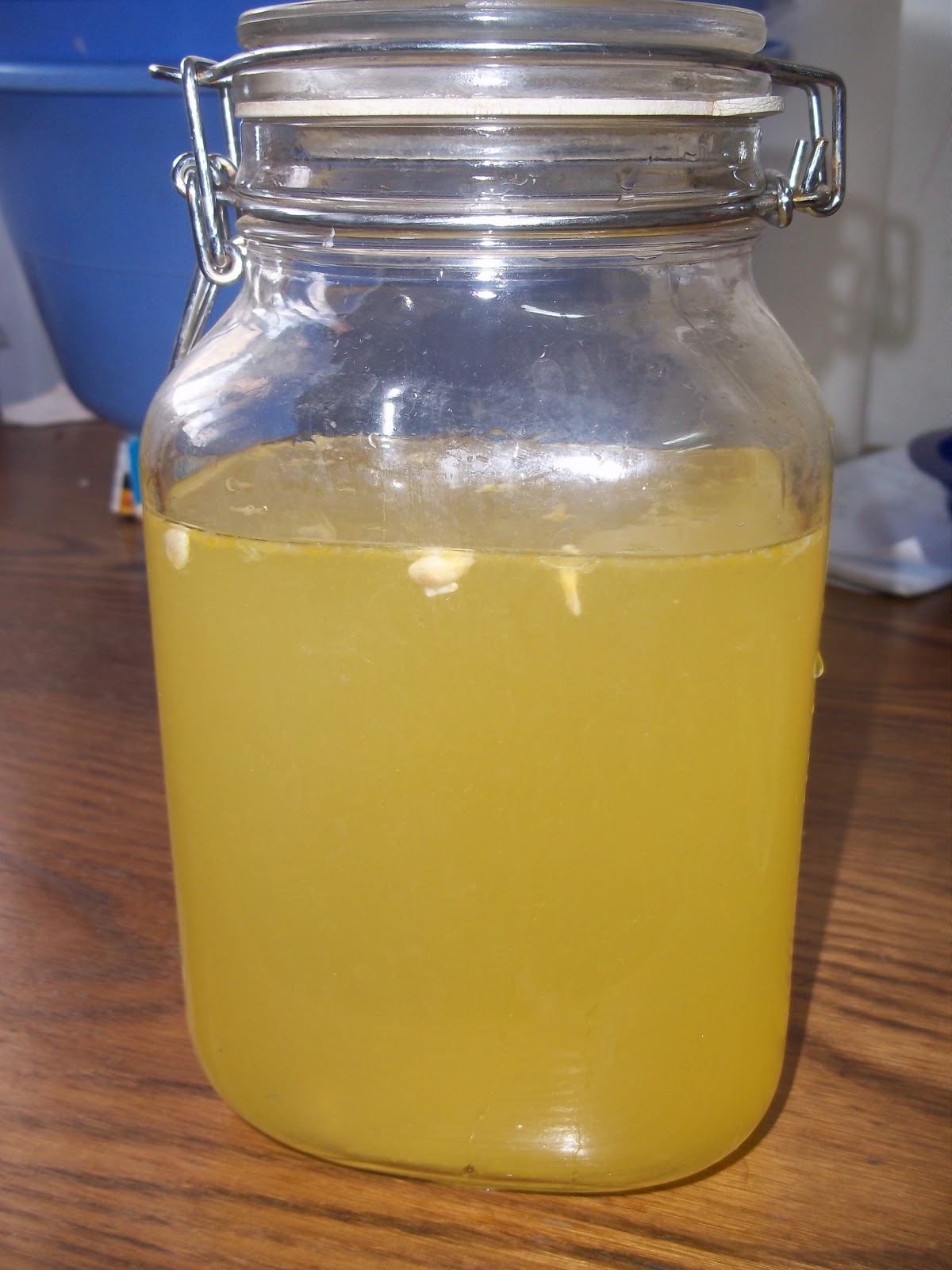 How to Make Homemade Fermented Soda with a Ginger Bug Penniless Parenting