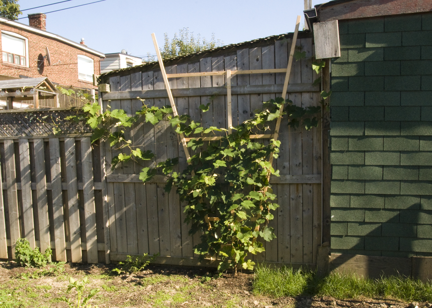 One Canadian Home How to build a wooden trellis