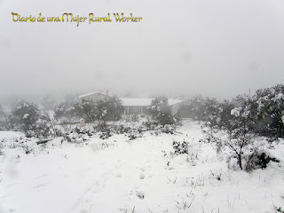 Nevada en Córdoba Nevada en Córdoba
