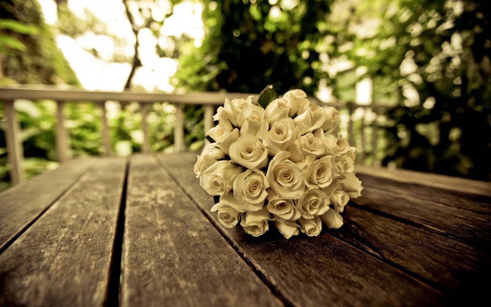 white rose bouquet wallpapers best wallpaper