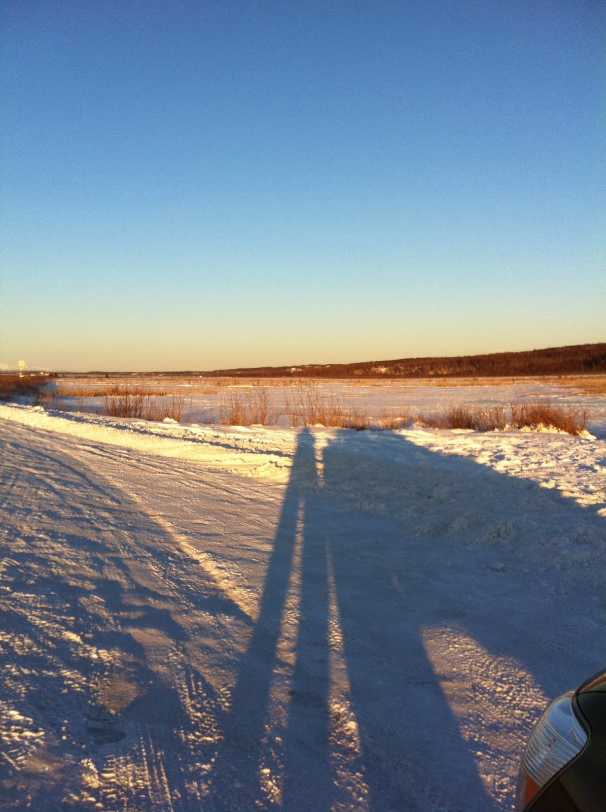Winter Experience Potter Marsh Guide for Alaska's Disappearing Tourists