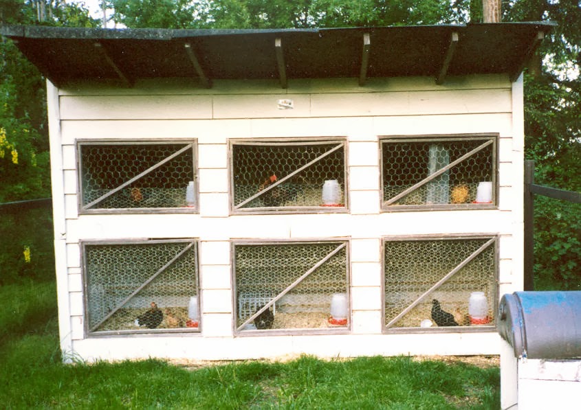 How To Make Your Own Chicken Coop