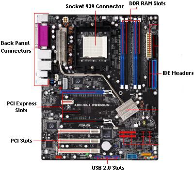 Slots are labeled on the ________ for ram