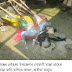 Broken Goddess and the war crime verdict of Bangladesh