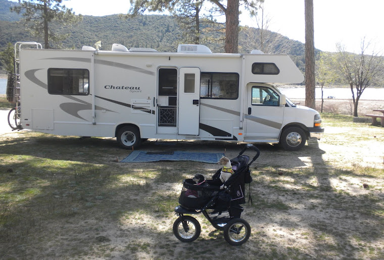 RVing With Stroller Dogs