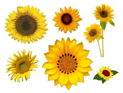 vector clip art - free