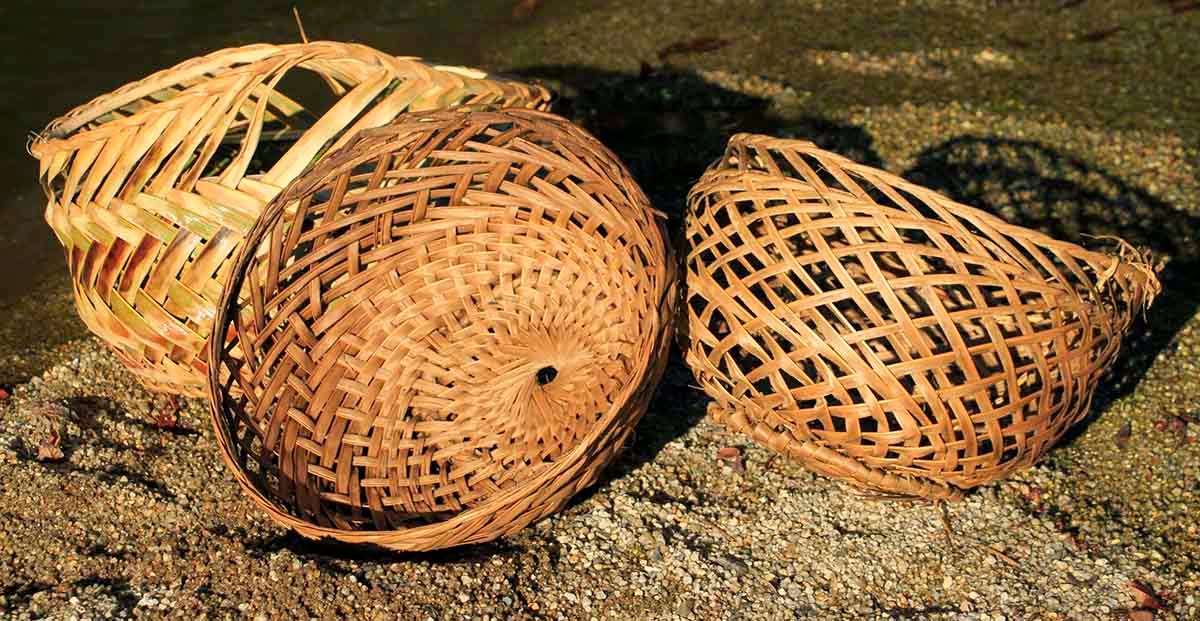 CATALOGUE COCONUT ARCHIVE