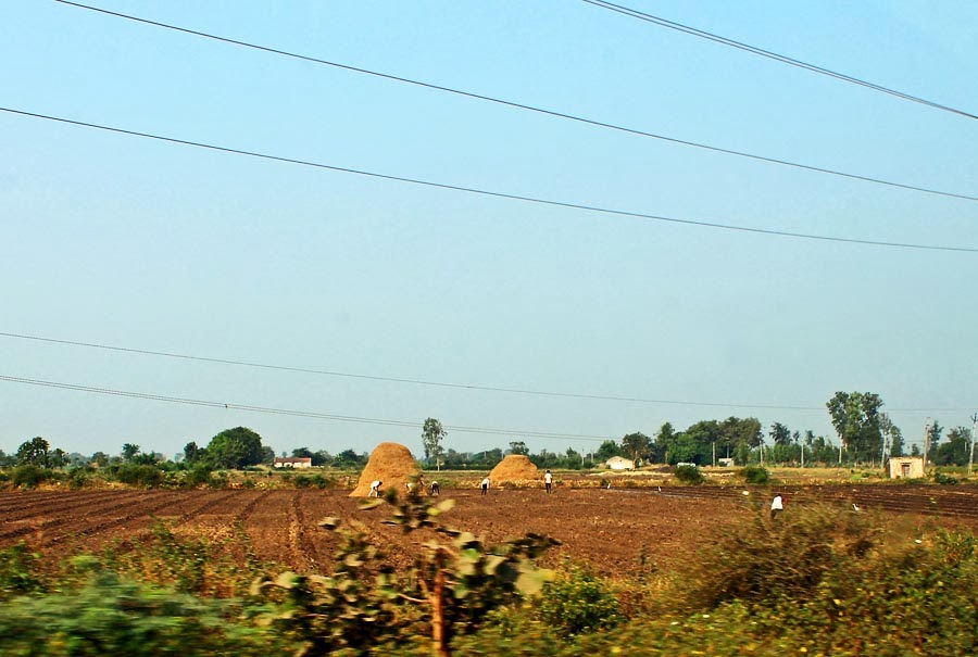 Stock Pictures Farming in Gujarat India