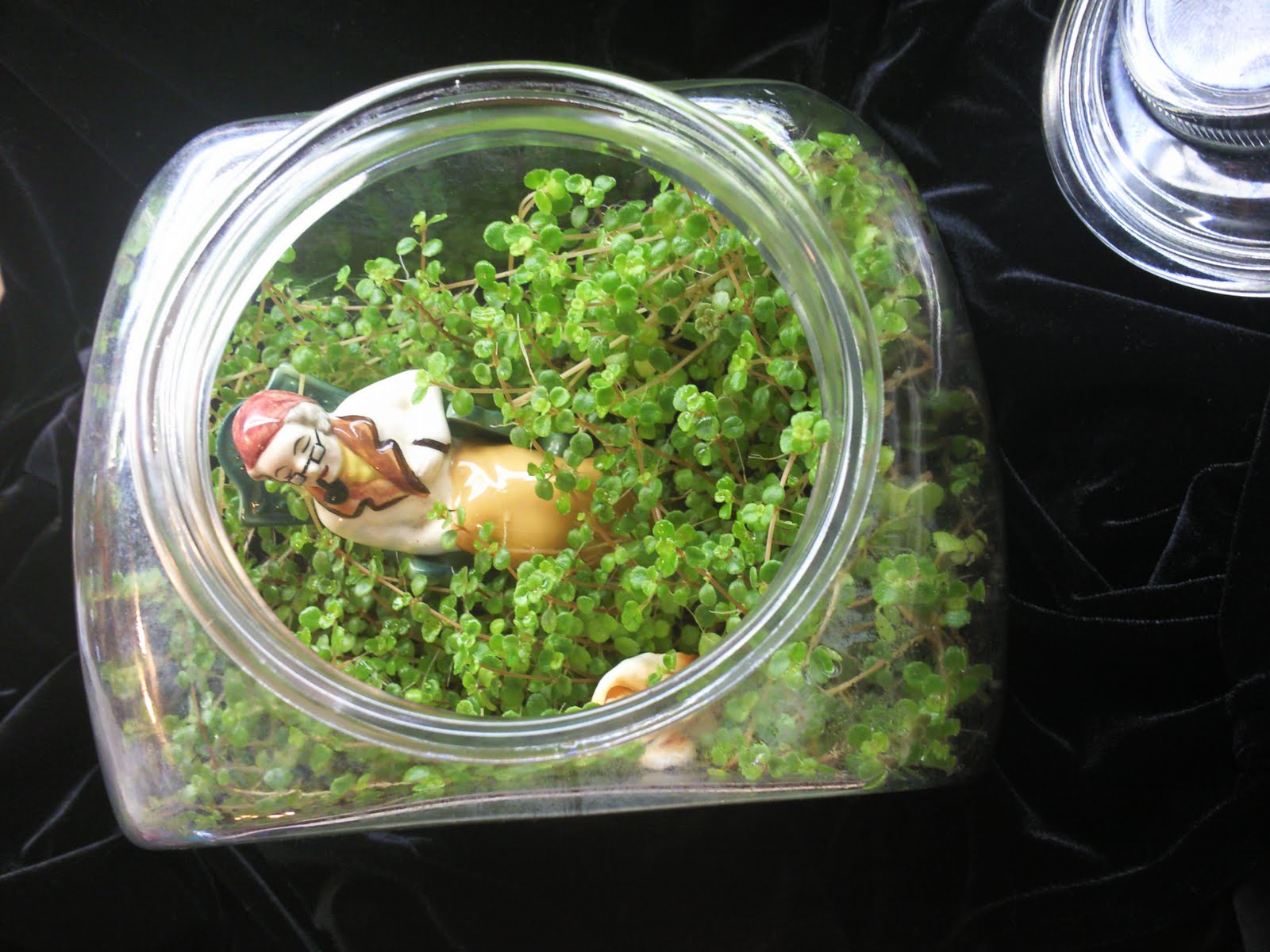 Tiny World Treasures Granny and Dog Terrarium