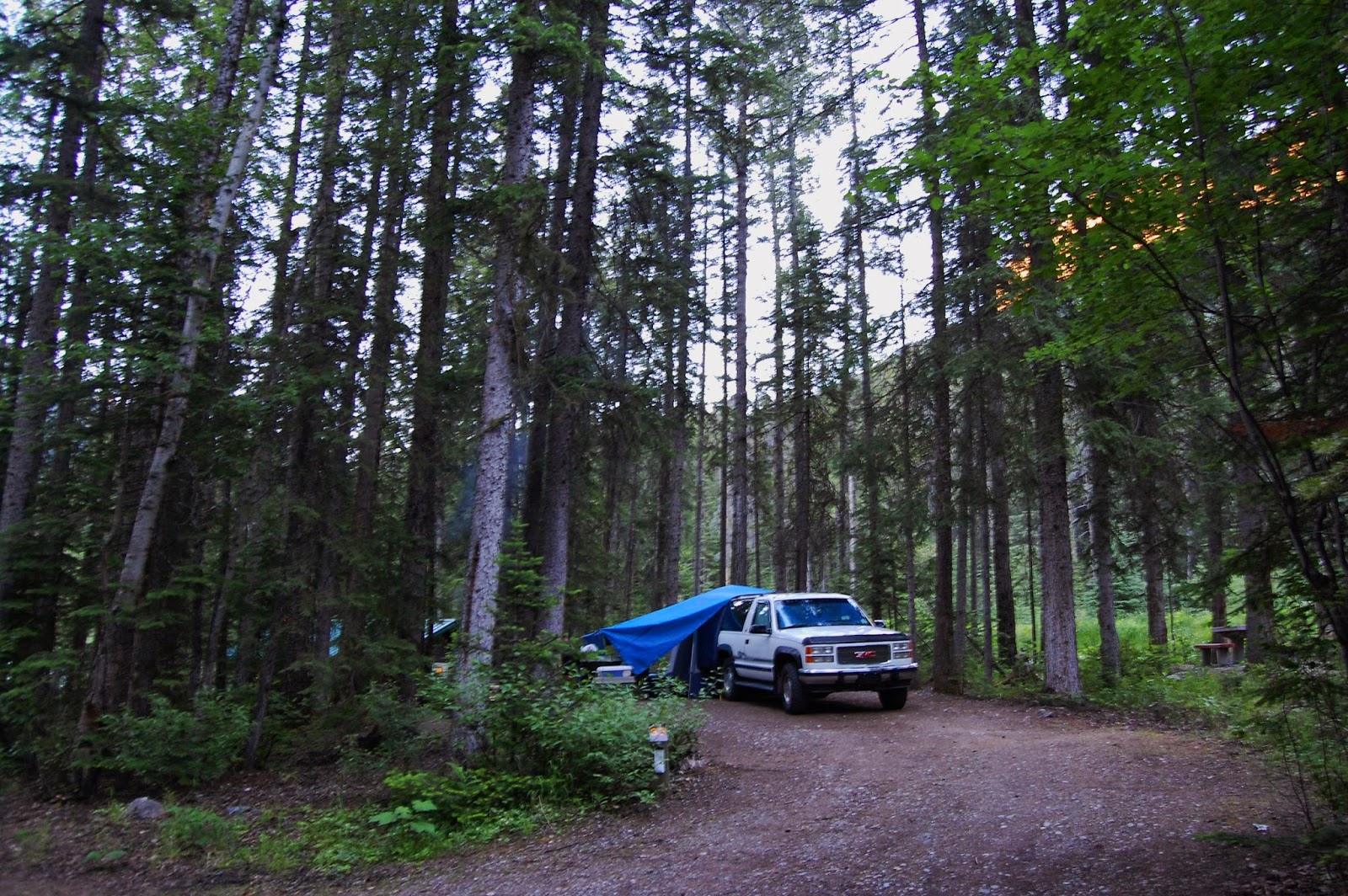 Camping Tips and Tricks Kicking Horse Campground Yoho National Park