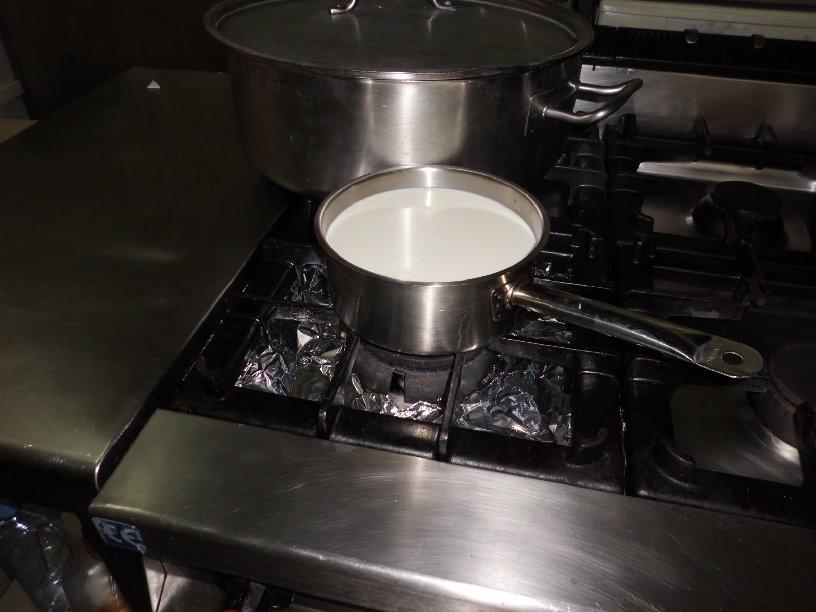 SCIENCE IN THE SCHOOL REPORT MAKING YOGHURT