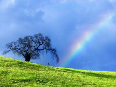 Beautiful-Morning-Rainbow