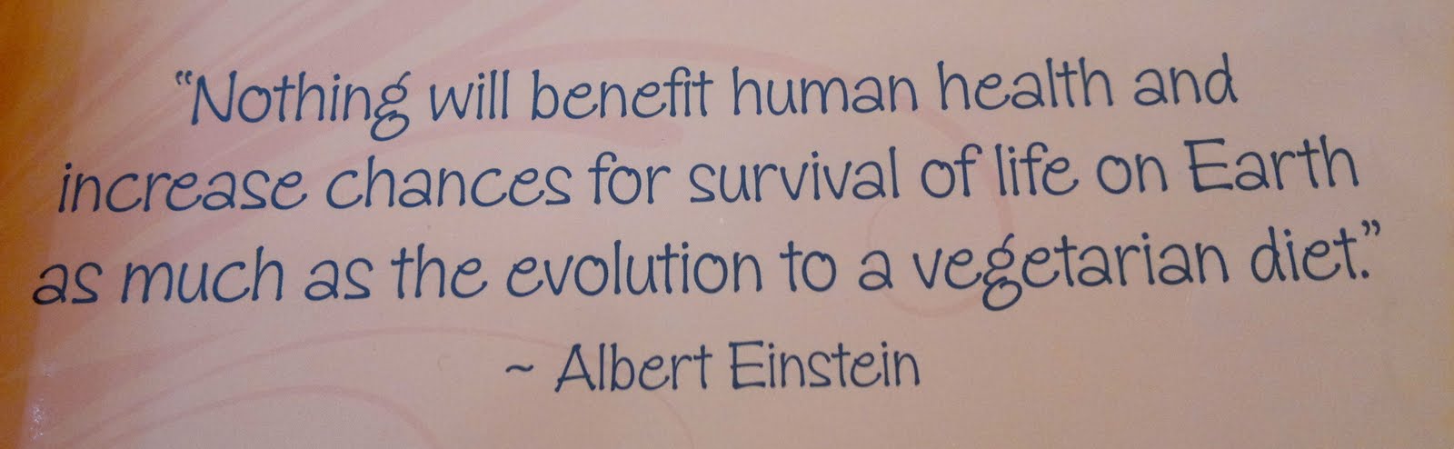an introduction to the positive benefits of vegetarianism Save your essays here so you can locate them quickly vegetarianism as defined by the world book benefits or harm of vegetarianism is associated with two. an introduction to the positive benefits of vegetarianism Save your essays here so you can locate them quickly vegetarianism as defined by the world book benefits or harm of vegetarianism is associated with two.