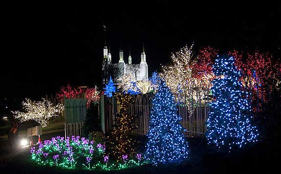 hoco connect mormon temple lights mormon temple dc christmas lights