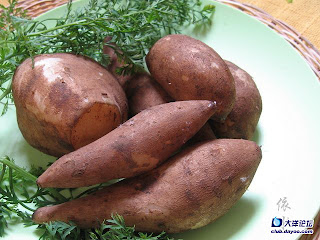Batata yacon emagrece