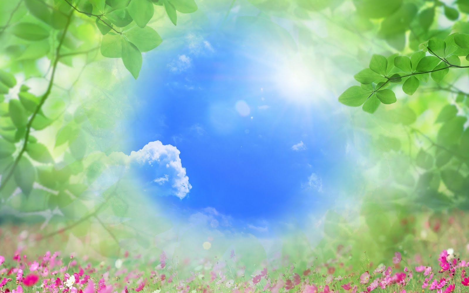 http://4.bp.blogspot.com/-IriESIeoDgg/TdbdVVMagUI/AAAAAAAAAV4/W0BC2CTCgVQ/s1600/3.jpg