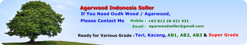 Agarwood Indonesia Seller
