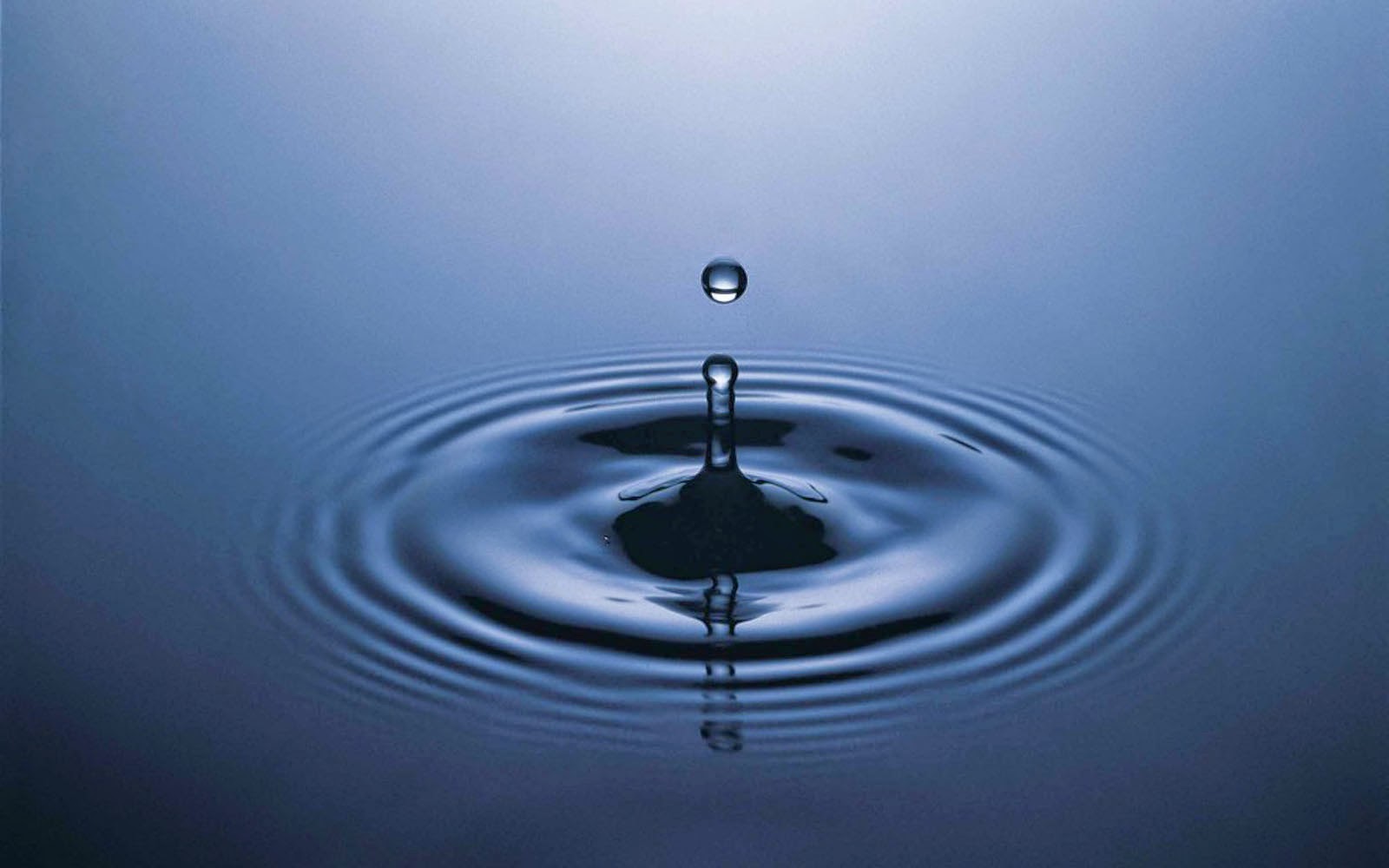 wallpapers water drop wallpapers water droplet backgrounds