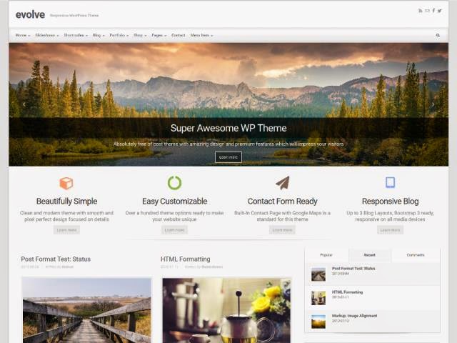 evolve Responsive WordPress Theme