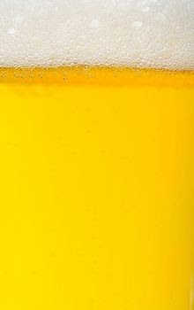 Foamy Urine And Frothy Urine