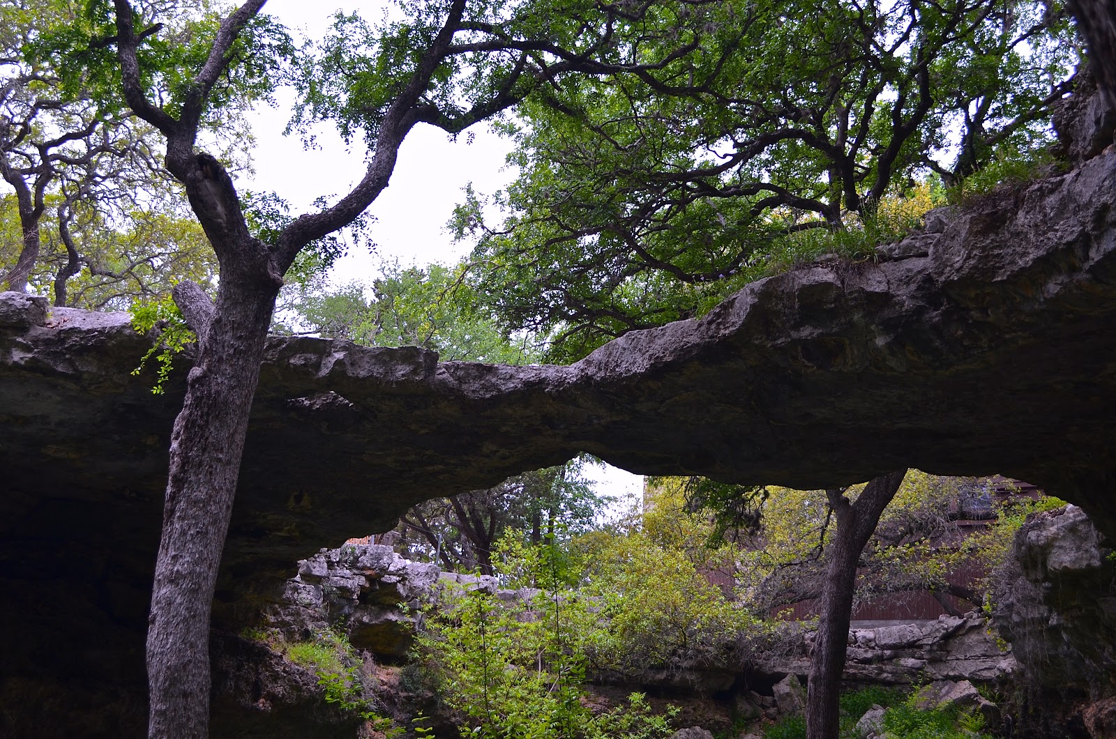 The Journey of a Lifetime Exploring the Underworld of Calcite at