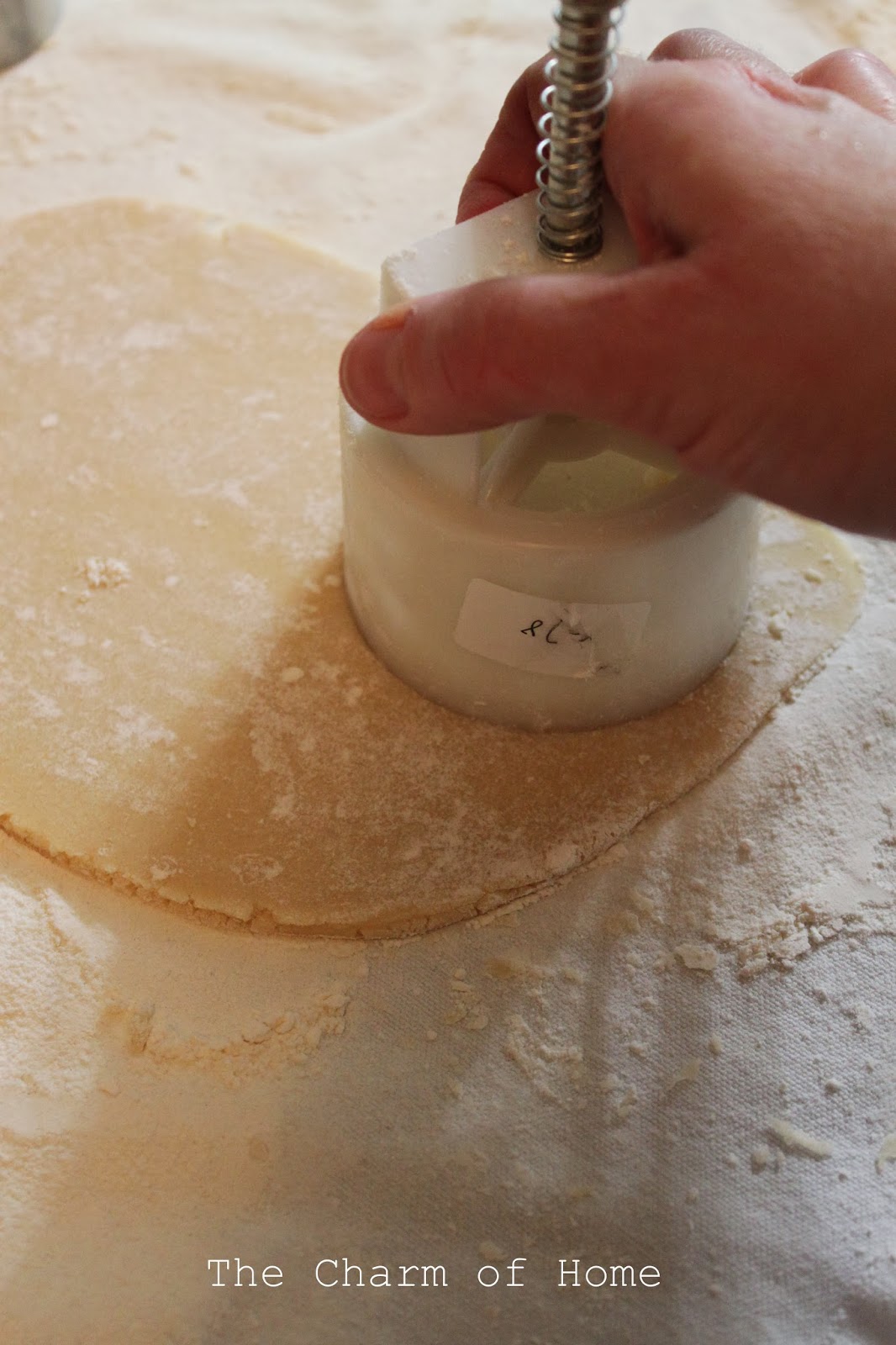 The Charm of Home Making Cookies with a Mold