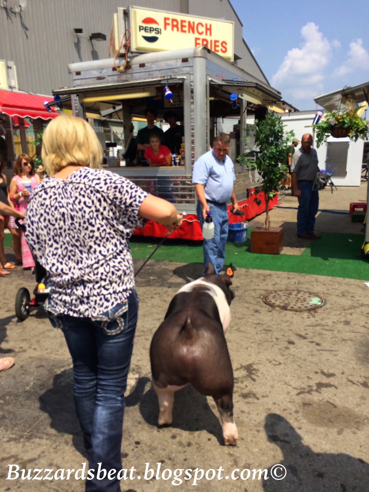A Lesson in Patience, Pigs and Passers-by Walking a pig through a large crowd requires patience