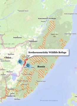 CFZ: Daily News: Amur tiger crosses from Russia into China