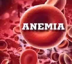 ramuan tradisional untuk mengatasi kurang darah (anemia) obat alami kurang darah (anemia)