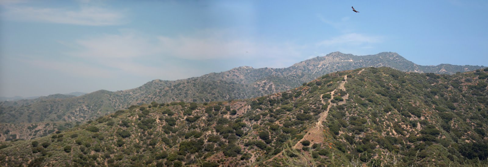 A Day In the Life Of: Verdugo Mountain climb