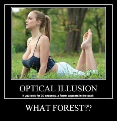 Optical illusion, hot girls big boobs meme picture funny