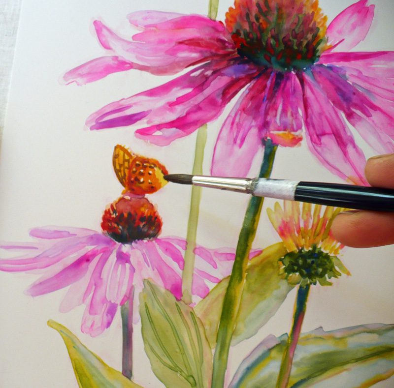 Zeh Original Art Blog Watercolor and Oil Paintings Purple Echinacea