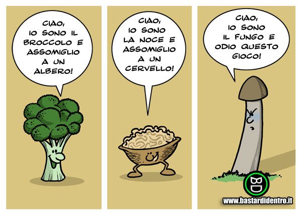 cazzo