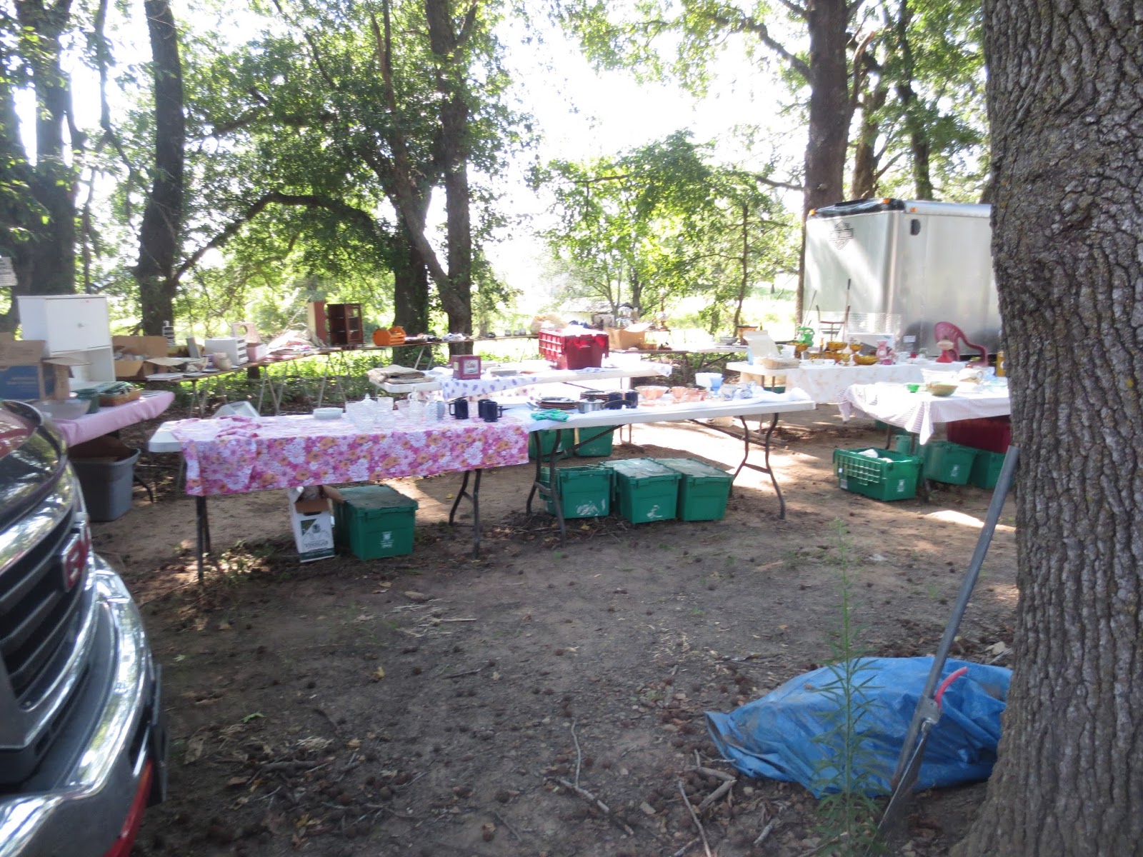 monkeybox Bargains Galore on 64 I Did It!