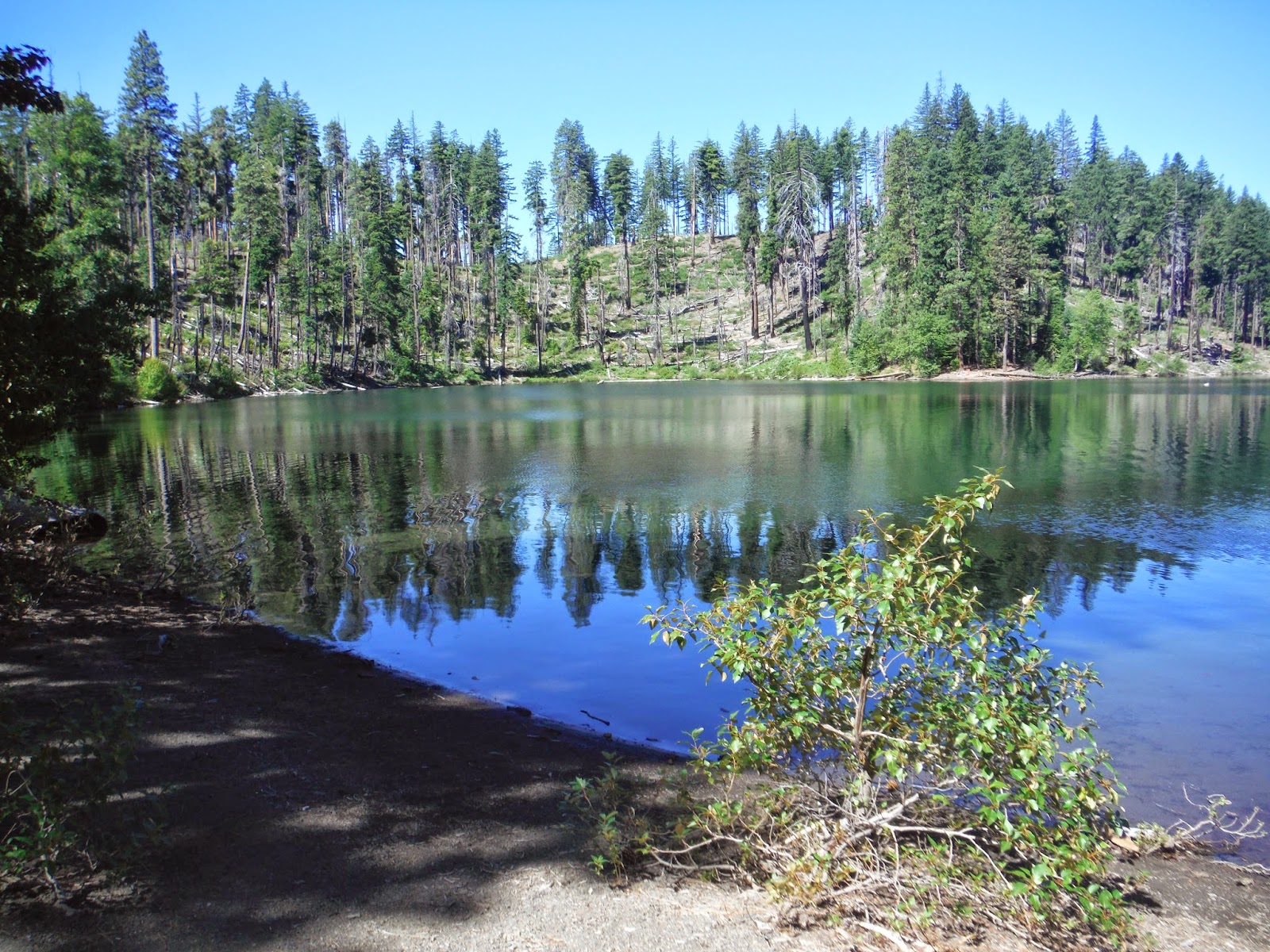 Life With Luci & Loree Scout Lake