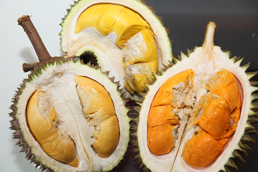 Durian - Kraliyet Meyvesi Durian - Kraliyet Meyvesi