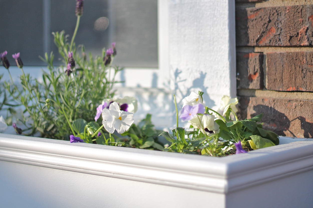 How to Make Window Boxes DIY Window Planters to Add Color and Charm