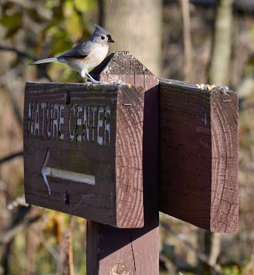 Nature Guide, copyright 2013, Stephanie Maatta Smith Tufted Titmouse on nature center guide sign