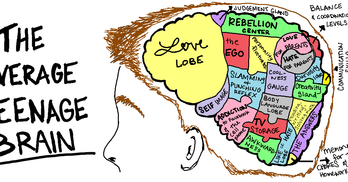 The Purpose Of Teenage Brain >> Jeff Schechtman's "Specific Gravity": The Power and the Purpose of the Teenage Brain The Purpose Of Teenage Brain >> Jeff Schechtman's "Specific Gravity": The Power and the Purpose of the Teenage Brain