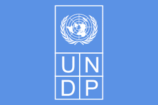 Jawatan Kosong UNDP Jawatan Kosong UNDP