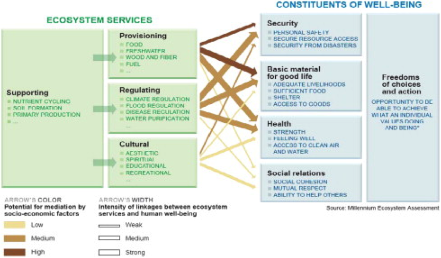 Natural Capital Intro Post What Are Ecosystem Services?