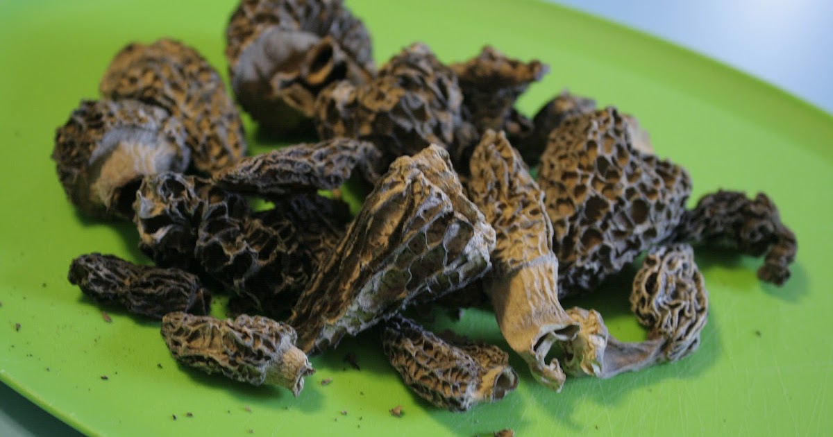 Bossy Italian Wife Working on my Morels