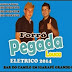 PEGADA LOUCA ELÉTRICO 2014::