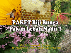 bunga kesukaan lebah madu