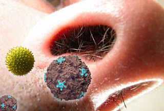 Sinusi - kako ih izlečiti na prirodan način Webmd_rm_composite_image_of_nose_and_irritants